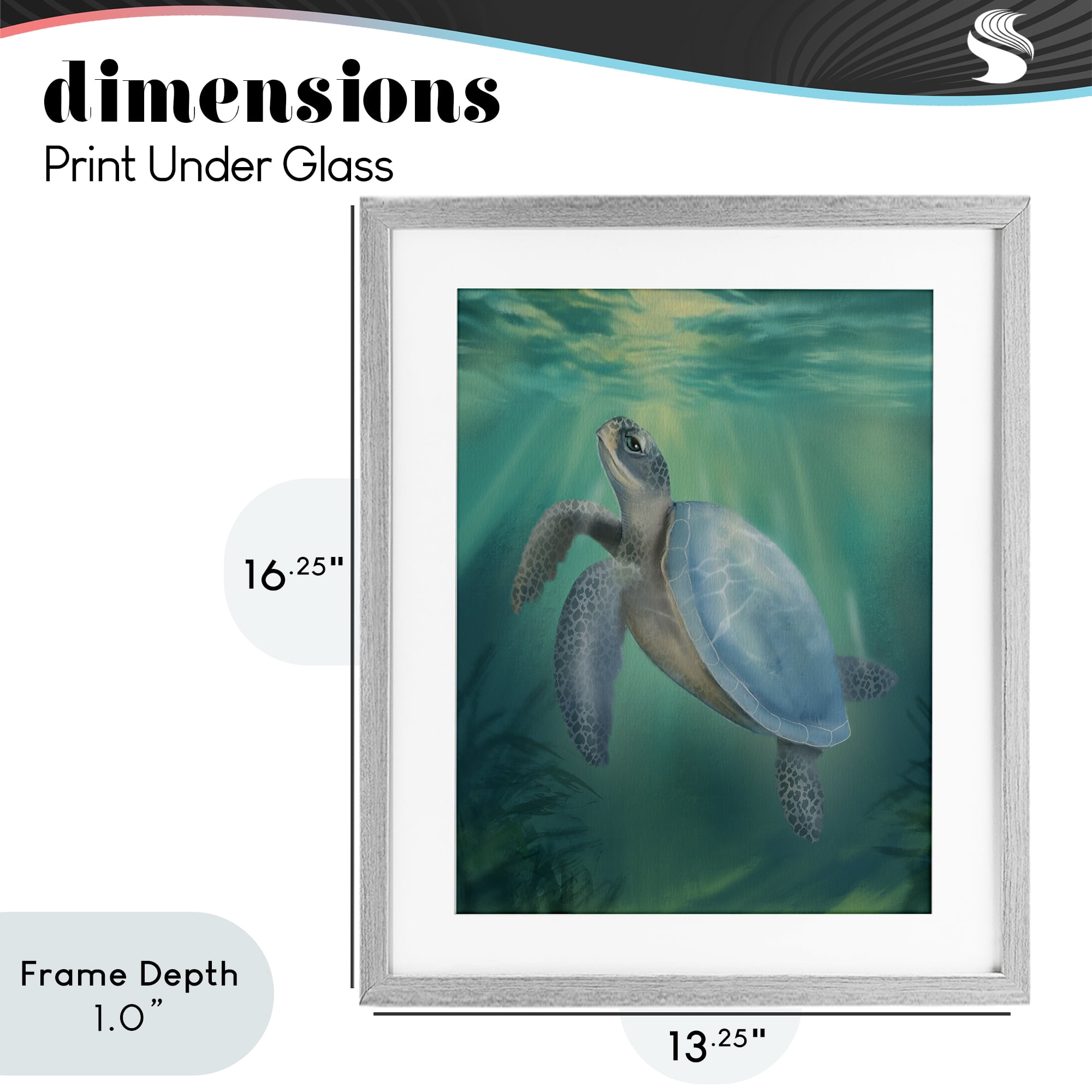 Stupell Industries Coastal Beach Sea Turtle Gray Framed Print Under Glass, design by Matthew Piotrowicz