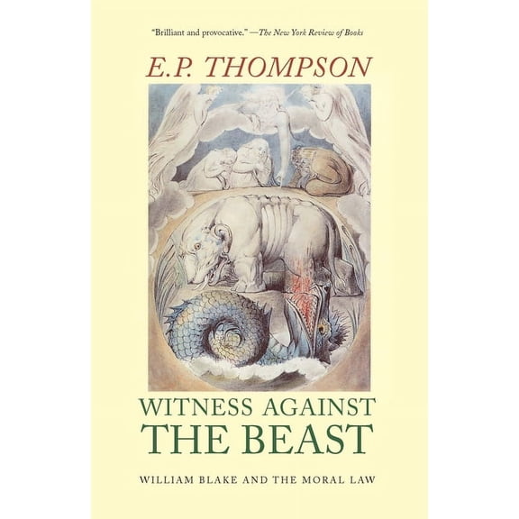 Witness Against the Beast: William Blake and the Moral Law, (Paperback)