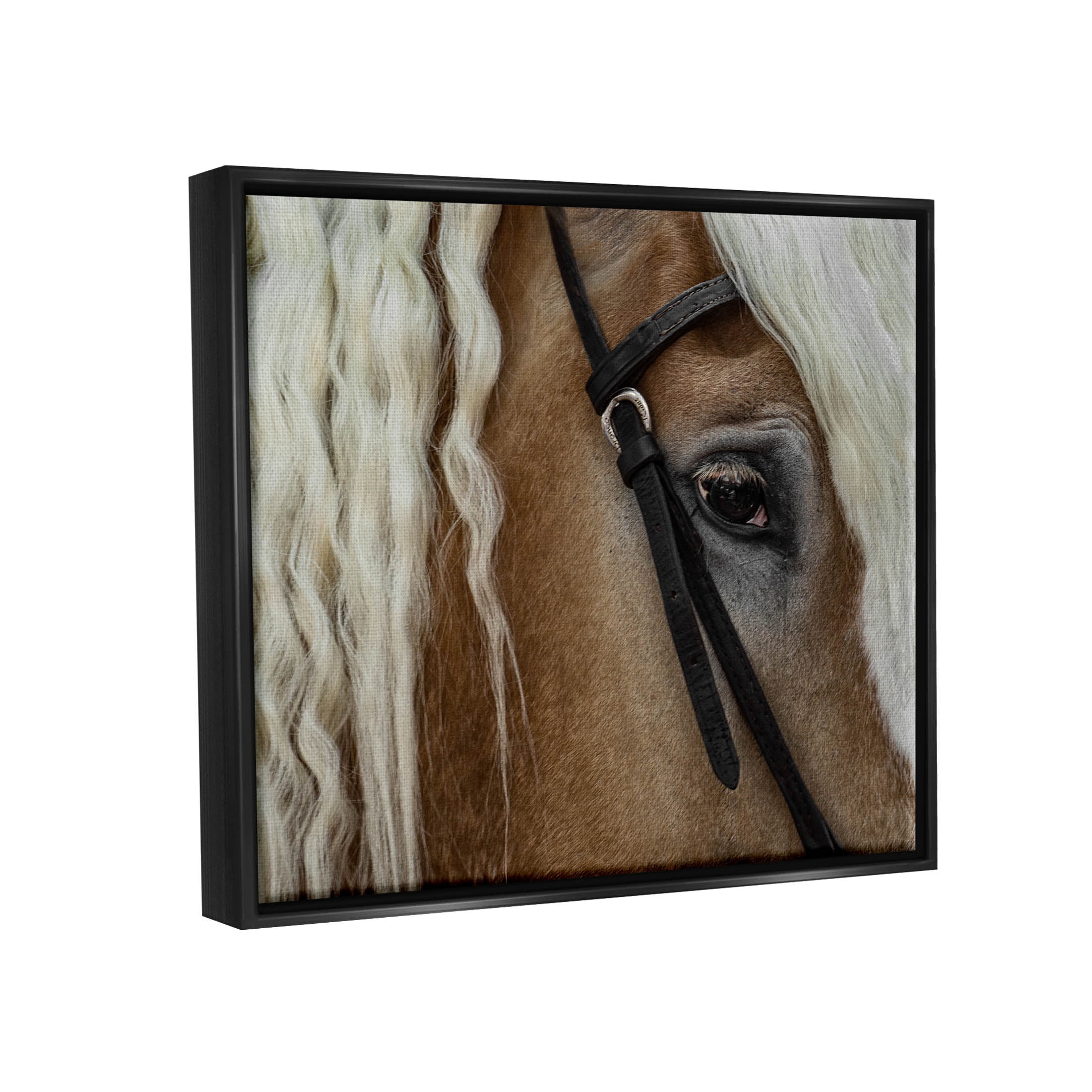 Stupell Industries Blonde Palomino Horse Portrait Photograph Jet Black Floating Framed Canvas Print Wall Art, Design by David Lorenz
