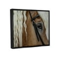 thumbnail image 3 of Stupell Industries Blonde Palomino Horse Portrait Photograph Jet Black Floating Framed Canvas Print Wall Art, Design by David Lorenz, 3 of 8