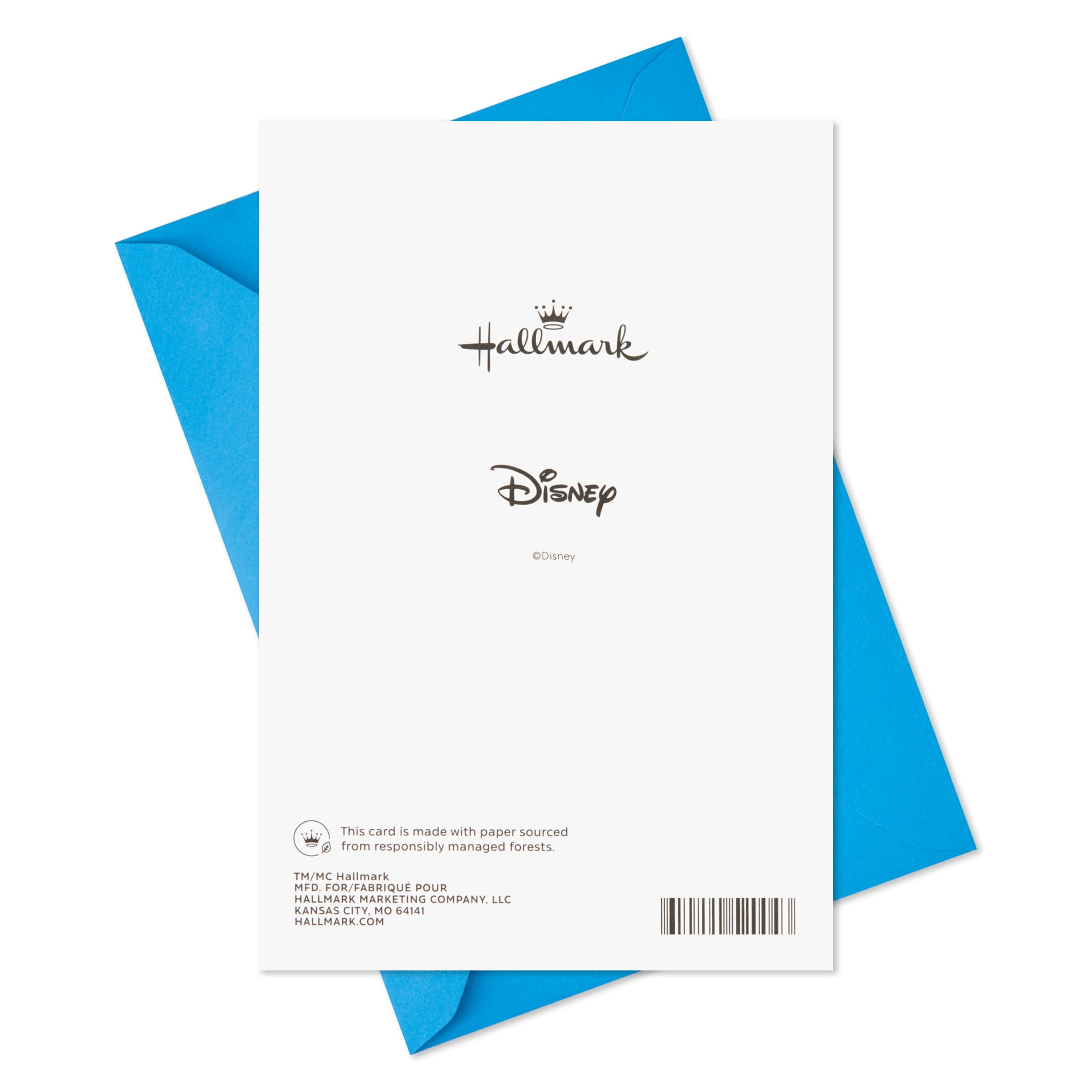 Hallmark Disney Mickey Mouse Birthday Card for Nephew With Stickers (Your True Colors Are Amazing)