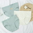 thumbnail image 3 of Breathable Woman's Briefs M-XL Cotton Embroidery Fruit Panties Girls Pantys Intimates Lingerie Female Panties XL 3, 3 of 8