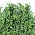 thumbnail image 2 of Heno para mascotas, heno de alfalfa, heno de alfalfa seco, alimento para mascotas, alimento para hierba para mascotas, construcción robusta, 2 of 6