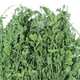 thumbnail image 1 of Heno de alfalfa, heno de alfalfa, alfalfa seca, alimento para pasto para mascotas, heno para mascotas, funcionalidad de alta precisión Jadeshay A, 1 of 6