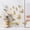 J type 36Pcs, variant on 36/48/120 Pcs 3D Butterfly Unique Wall Decor Set, Hollow-Design Gold Butterflies for Party Decor and Bridal Shower, Creative Butterfly Stickers for Gift Boxes, Flower Arrangements and DIY Home Decor