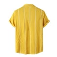 thumbnail image 3 of TAIAOJING Men's Casual Shirts Turn-Down Collar Short Sleeve Button Stripe Beach Print Blouse, 3 of 5