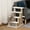 White, variant on PawHut Cat Steps 4-Level Cat Tree with Scratching Posts, White