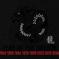 thumbnail image 3 of CafePress - Chinese New Year Of The Dragon T Shirt - Dark T-Shirt Kids XS-XL, 3 of 4