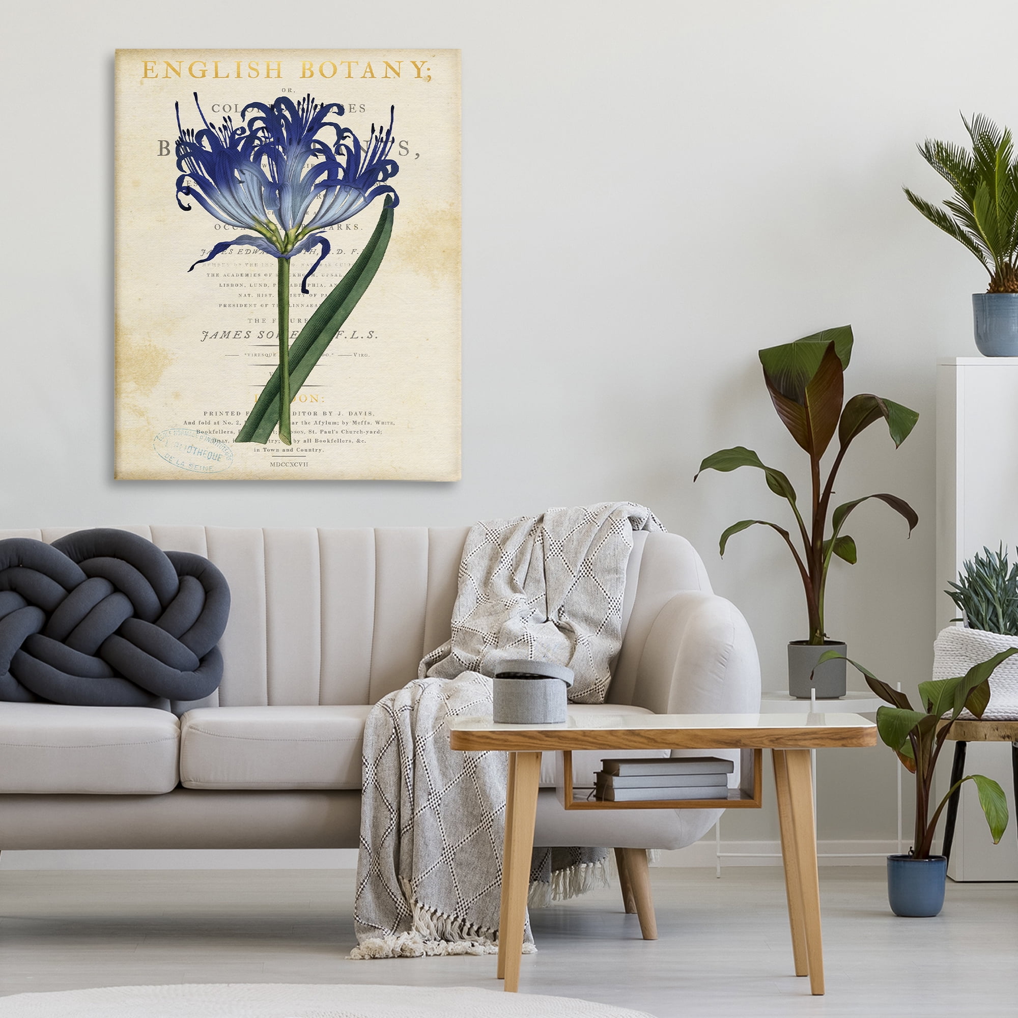 Stupell Industries English Botany Blue Floral Canvas Wall Art, design by Susan Arnot