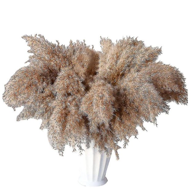 30 Stems Dried Pampas Grass, Pampas Grass Fluffy Pampas ,17 Inch Bulk Pampas Grass Decor Flowers Dr