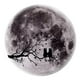 thumbnail image 2 of Vinilo decorativo globo mundo Soledad Calcomanía de Pared Brillo en Oscuridad 3D Gris, 2 of 9