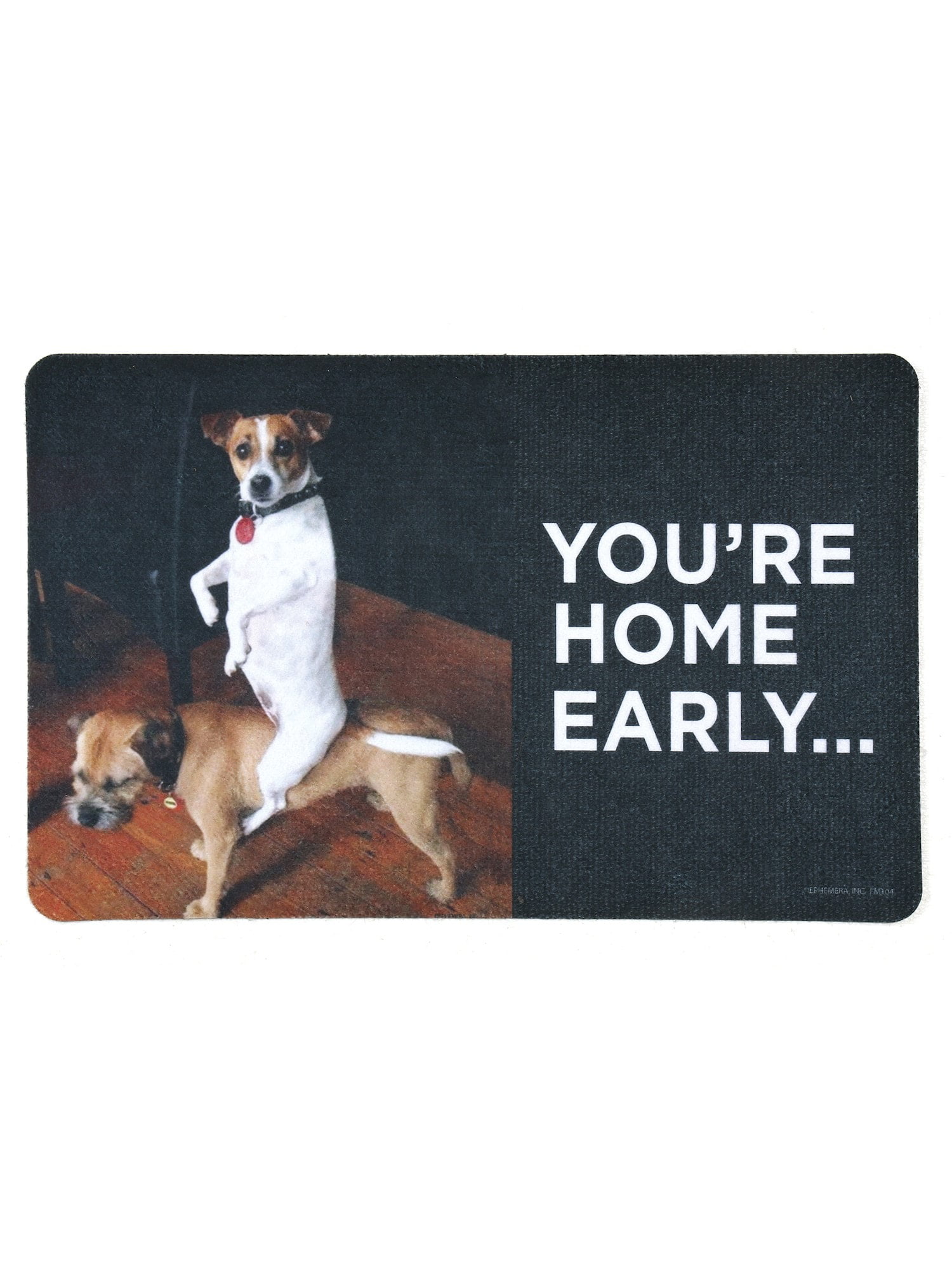 Funny Dog Welcome Mat 27" x 17" High Cotton You're Home Early Doormat 
