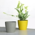 thumbnail image 6 of Frogued Nordic Style Flowerpot Plant Container Planting Tool Home Garden Decoration (Yellow,13.5*12.5cm), 6 of 13