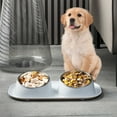 thumbnail image 5 of SHENGXINY 1PCS Dog Bowls Double Dog Water and Food Bowl,High Foot Feeding Plastic Pet Bowl ,Cats Food Bowl ,Water Bowl White 15.7x9x3.1in, 5 of 6
