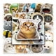 thumbnail image 2 of 100 pegatinas de meme de gato, pegatinas divertidas de gato, pegatinas lindas de gato, meme de gato divertido, pegatinas impermeables de vinilo de gato para adultos, adolescentes, 2 of 5