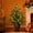 D, variant on Pre Lit Artificial Christmas Tree, Dense Lifelike Branches Mini Holiday Tree, Tabletop Christmas Tree with Lights, Small Tabletop Tree for Mantels Entryways Dining, Green, 23.62 in, 1pc, Style A