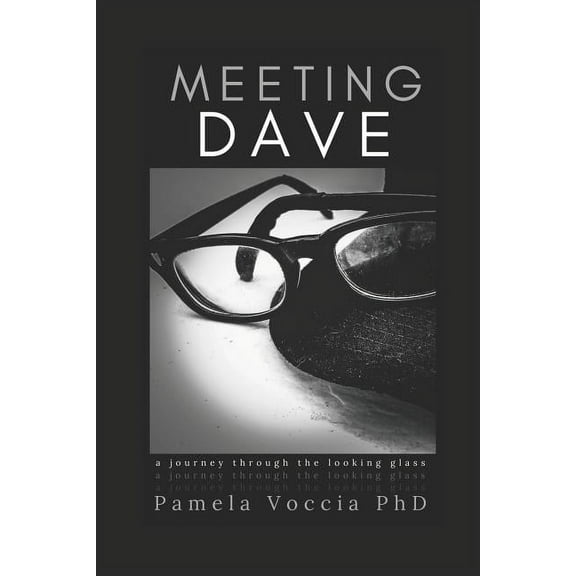 Meeting Dave: A Journey Through the Looking Glass (Paperback)