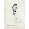 thumbnail image 2 of TypeLike 24x32 White Modern Wood Framed Museum Art Print Titled - Bird is sweet, 2 of 4