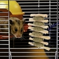 thumbnail image 3 of SHISUYAN Guinea Pig Cage Pendant Rabbit Biting Snack Pet Cage Hanging Snack Hamster Chew Toy, 3 of 9