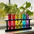 thumbnail image 4 of Transparent Test Tube Vase, Plant Planting Container, Hydroponic Plant Container With Support, Creative Propagation Container, Scientific Themed Instrum, 4 of 5