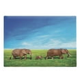 thumbnail image 1 of Animal Cutting Board, Family Walking by the Grass Savannah Sky Landscape Safari, Decorative Tempered Glass Cutting and Serving Board, Large Size, Green Brown Blue, by Ambesonne, 1 of 1