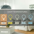 thumbnail image 2 of Bulbrite  Single 4 Watt Dimmable Antique Grand Nostalgic Medium (E26) LED Bulb Jewel, 2 of 5