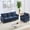 Blue, variant on Puremind 2 Piece Living Room Sofa Set, Sofa and Armchair Sets, Chenille Sectional Sofas and Couches for Living Room/Apartment, Light Gray