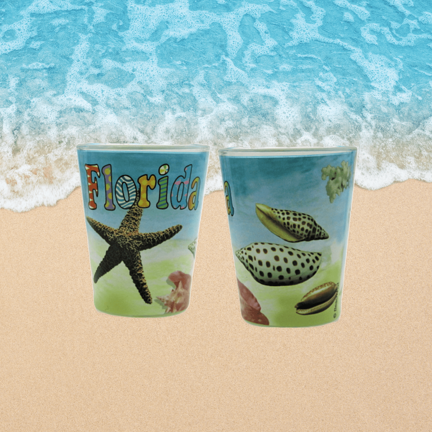 Shot Glass Florida Starfish 1 Count Beach Hut Inc. Brand Souvenirs