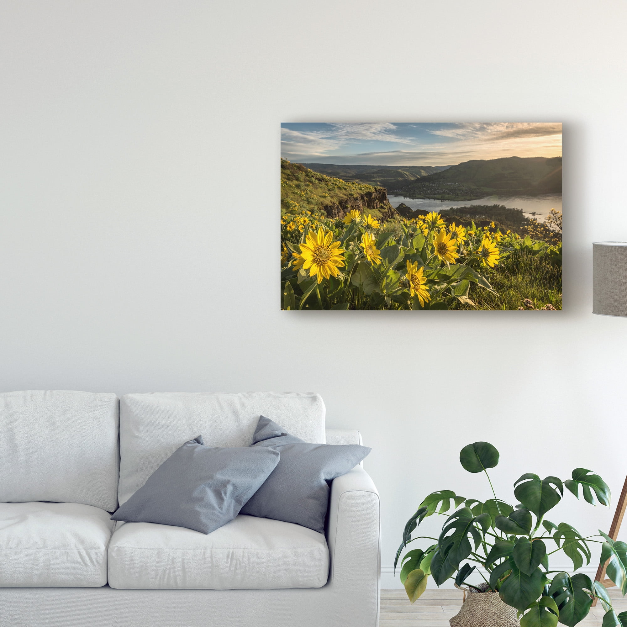 Trademark Fine Art 'Soaking Up the Sun' Canvas Art by Danny Head
