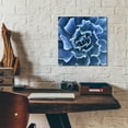thumbnail image 3 of Epic Art 'Ruffled Edges' by Jan Bell Acrylic Glass Wall Art, 12"x12", 3 of 6