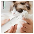 thumbnail image 2 of With Led Light Dog Hair Trimmer Rechargeable Waterproof Pet Foot Hair Trimmer Pet Care ,Clean and Fast, 2 of 6
