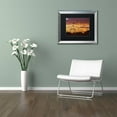 thumbnail image 4 of Trademark Fine Art "Weeds" Canvas Art by Jason Shaffer, Black Matte, Silver Frame, 4 of 4