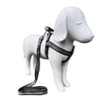 thumbnail image 2 of Arnes con correa para mascota Infanti Pets negro grande, 2 of 5