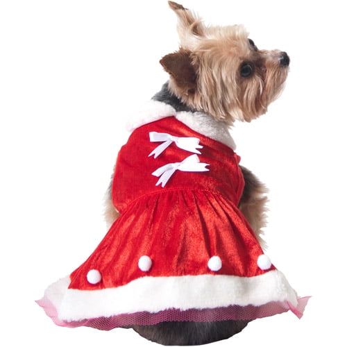 dog in santa outfit