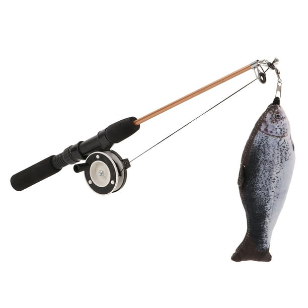 Retractable Cat Teaser Wand Toy Interactive Fishing Rod with Simulation  Fish for Cats(Salmon Fishing Rod )