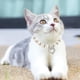 thumbnail image 5 of Apuakthei - Juego de 2 collares de perlas, bonitos collares para perros, gatos, cachorros, gatitos, bodas, fiestas de cumpleaños (M), 5 of 5