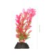 thumbnail image 2 of BESTYASH 10Ud De Acuario Con Plásticas Suaves Y Seguras Color Rosa Para De Peces Betta, 2 of 6