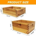 thumbnail image 4 of PRIJESSE Beginner Bee Hive Kit for Beekeeping - 3-Tier Langstroth Design with Waterproof Cover & Ventilation, 4 of 5