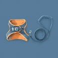 thumbnail image 2 of Dog Harness,Cat Harness Leash Color Pet Harnessand Leash Reflective Strip Pet Harness Proven Performance, 2 of 5