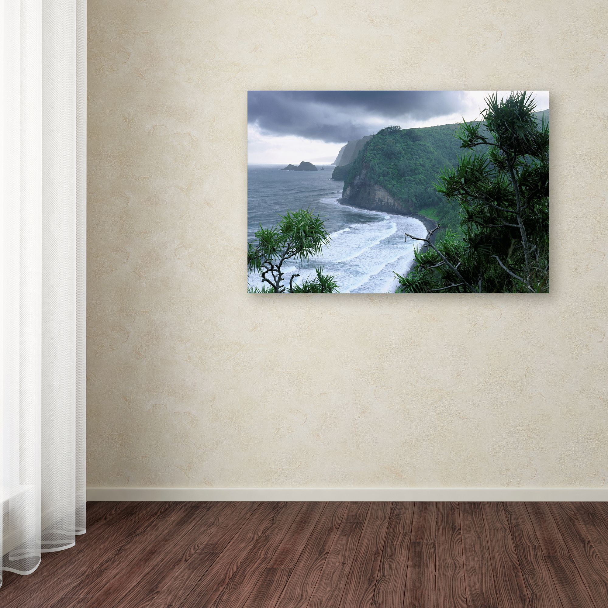 Trademark Fine Art 'Pololu Valley' Canvas Art by Mike Jones Photo