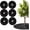 S, variant on 6 Pack Tree Rings, Round Tree Mulch Ring with Pre-Cut Hole, Heavy Duty Non-Woven Weed Barrier for Garden, Lawn, and Landscaping, L