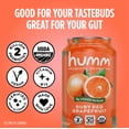thumbnail image 4 of Humm Kombucha Whole30 Approved, Ruby Red Grapefruit, 12 Pack, 12 oz Cans, 4 of 6