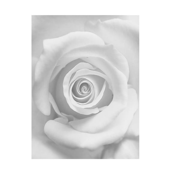 Canvas Wall Art - Kahar Lagaa 'The Rose' Wall Art for Living Room, Bedroom, or Office D?cor by Trademark Fine Art - 14 x 19 Inches