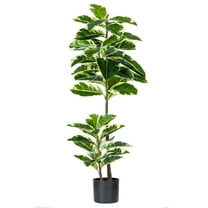 Vickerman 50" Artificial Potted Real Touch Dieffenbachia.