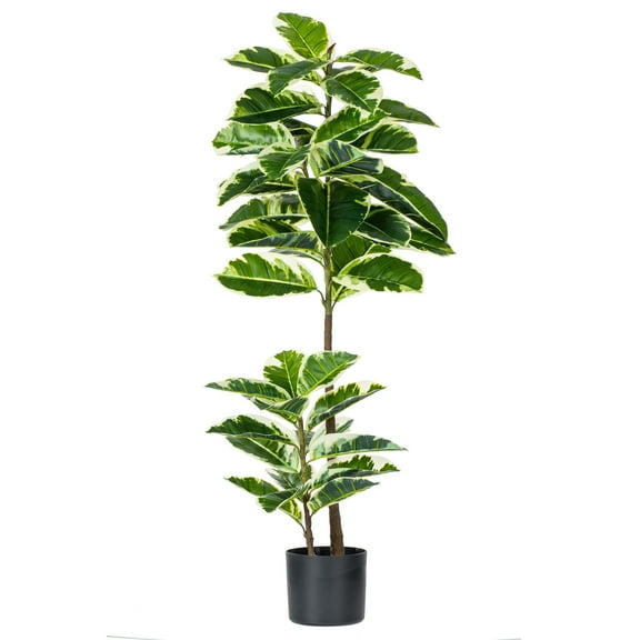 Vickerman 50" Artificial Potted Real Touch Dieffenbachia.