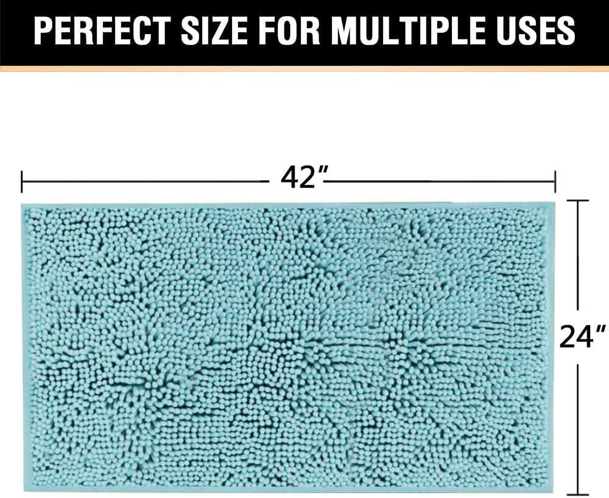 Microfiber Bath Rugs Chenille Floor Mat Ultra Soft Washable Bathroom Dry Fast Water Absorbent Bedroom Area Rugs, 24 x 42 - Inch, Aqua Haze