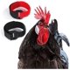 thumbnail image 1 of Collar De Pollo Anti Gancho Collar De Gallo Collar De Gallo Collar De Pollo Ajustable Evita Que Los Pollos Griten Molestando A Los Vecinos Collar De Pollo, 1 of 5