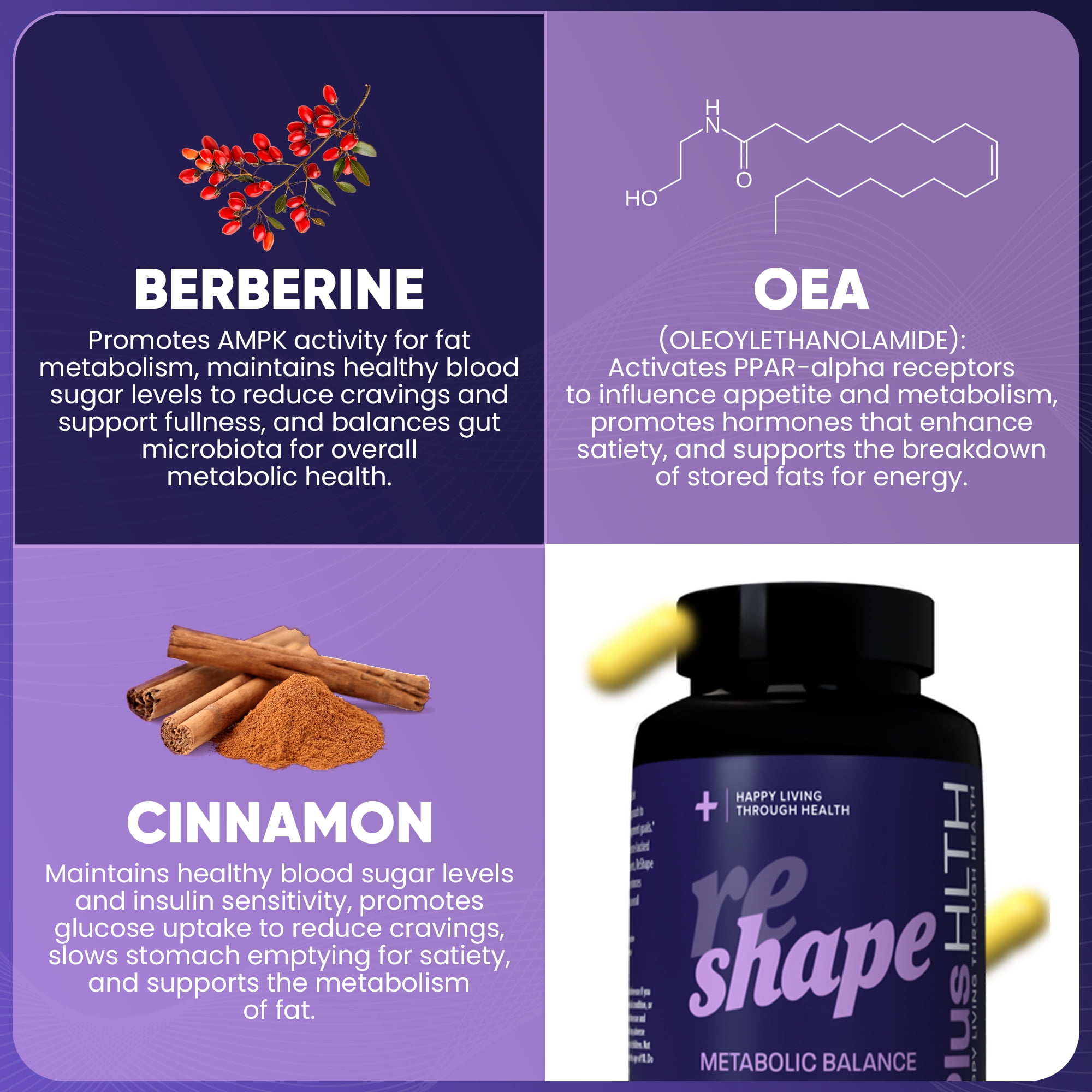 PlusHLTH Reshape Capsules with Berberine, Cinnamon, and OEA for Metabolic Balance 60 capsules