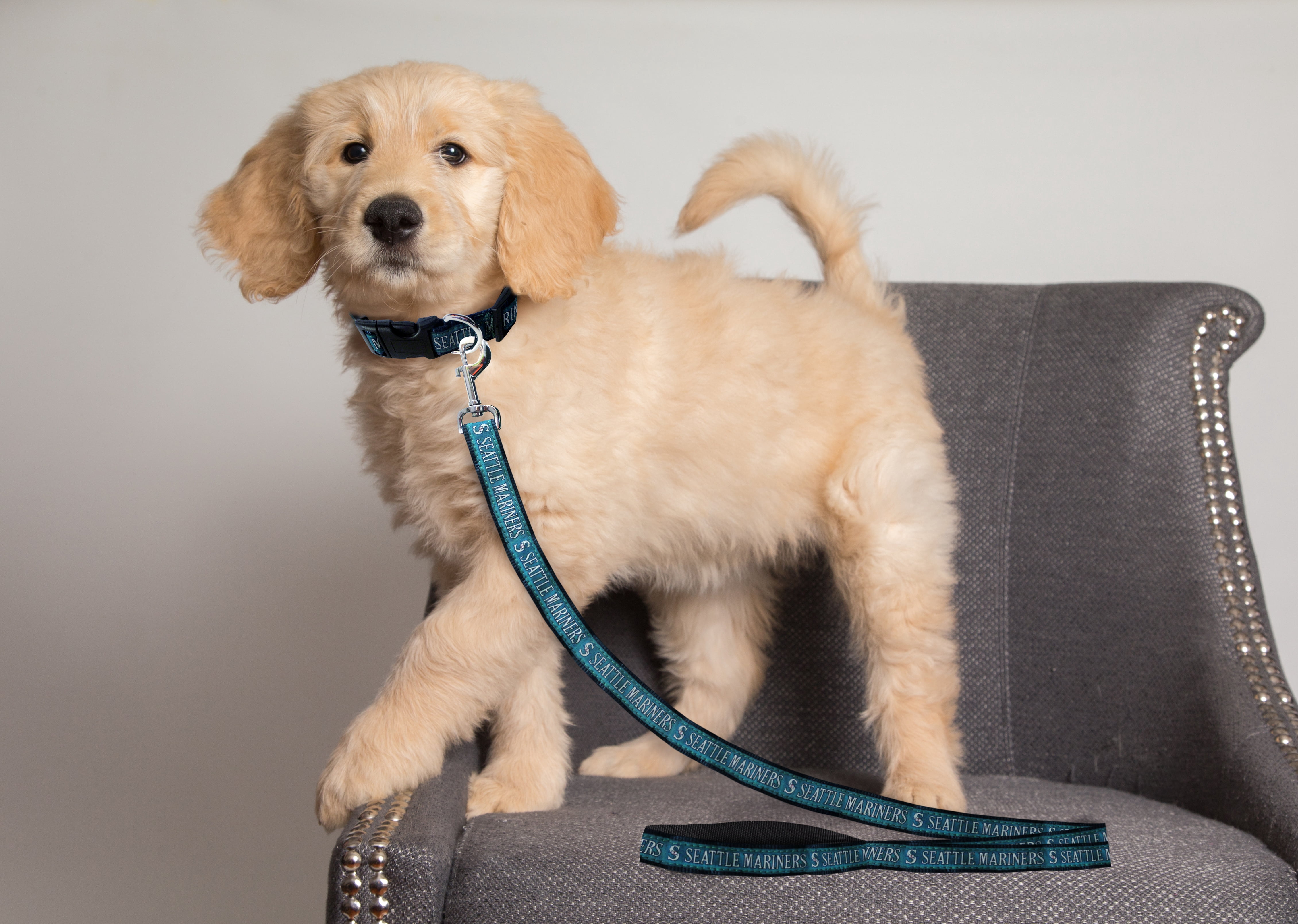 Pets First MLB Seattle Mariners Cats and Dogs Durable Pet Leash, Large