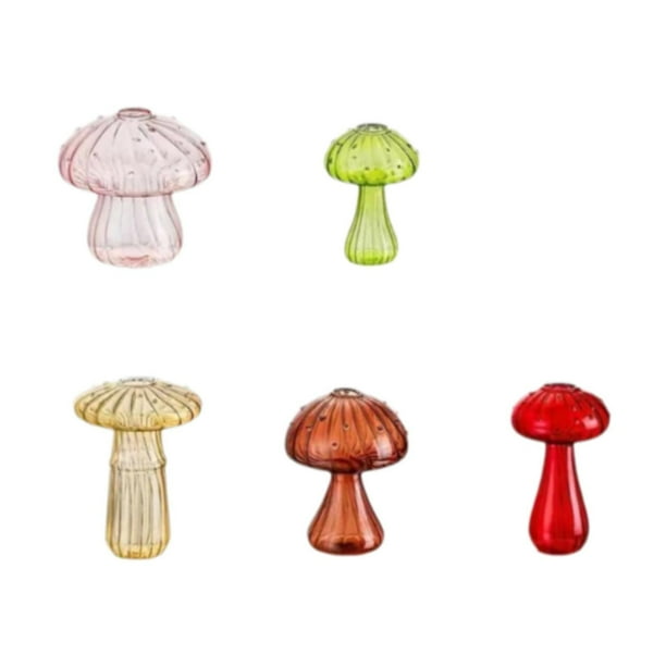 Jarrones de vidrio con forma de hongo Jarrones para plantas hidropónicas Jarrones decorativos para terrarios 5 piezas